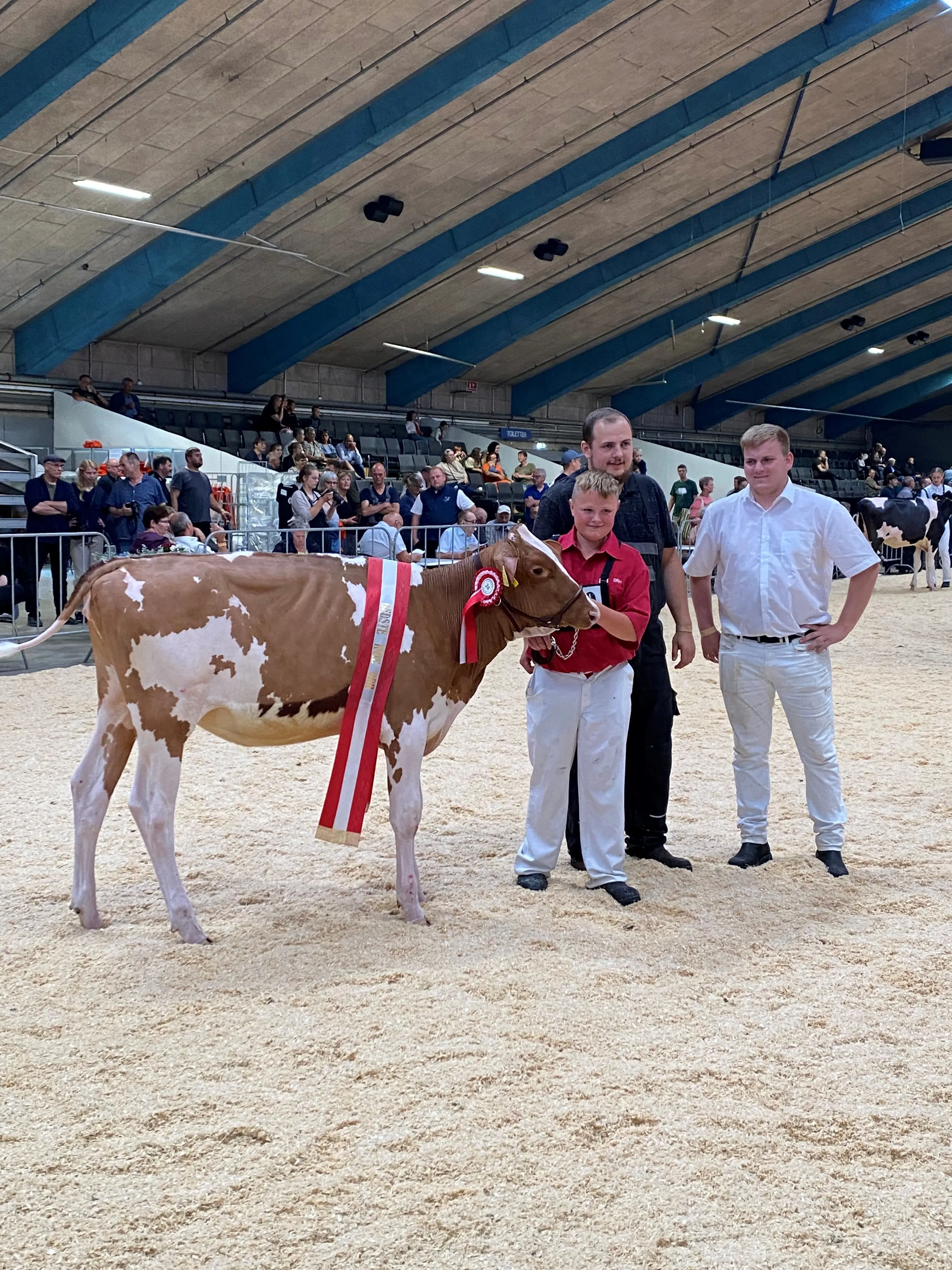 Bedste DRH Kvie, Andreas Haugaard (1)