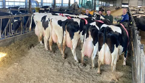 Articleentry Madspedersen