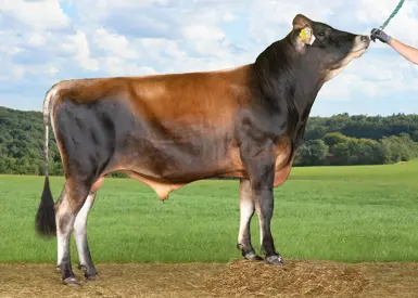 VJ Jojo (VJ Jocko) Uden Alex