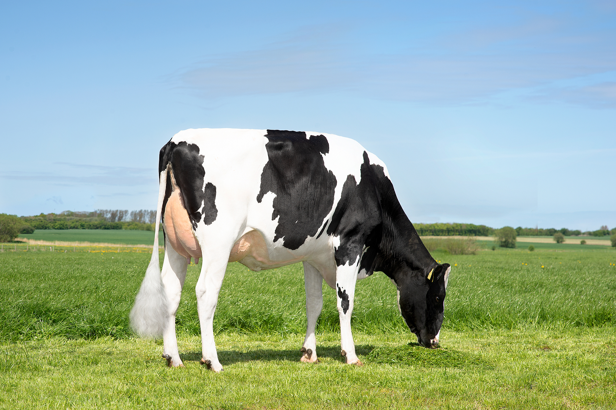 Vh Crown Daughter No 50675 11920 From Mads Stokholm Ribe Scenic1a