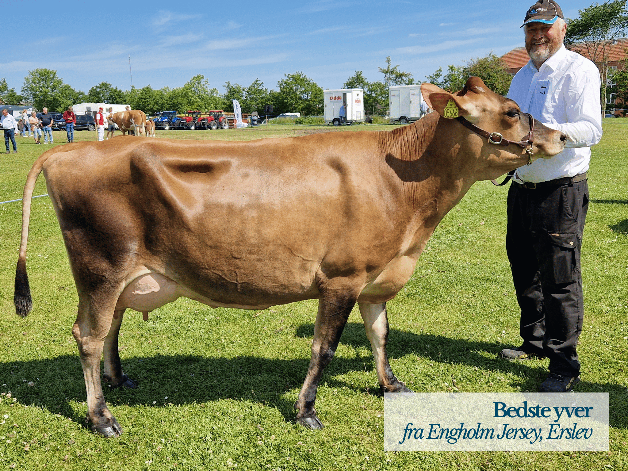Bedste Yver, Thy Mors Dyrskue 2025