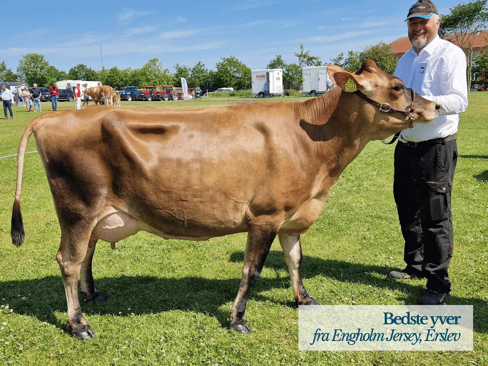Bedste Yver, Thy Mors Dyrskue 2025