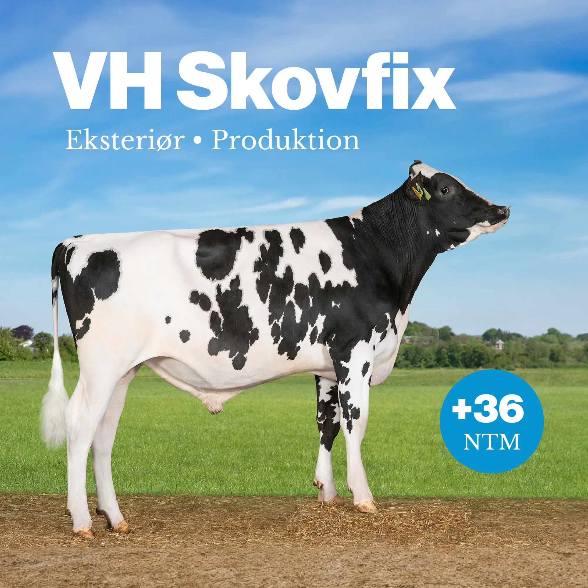 VH Skovfix