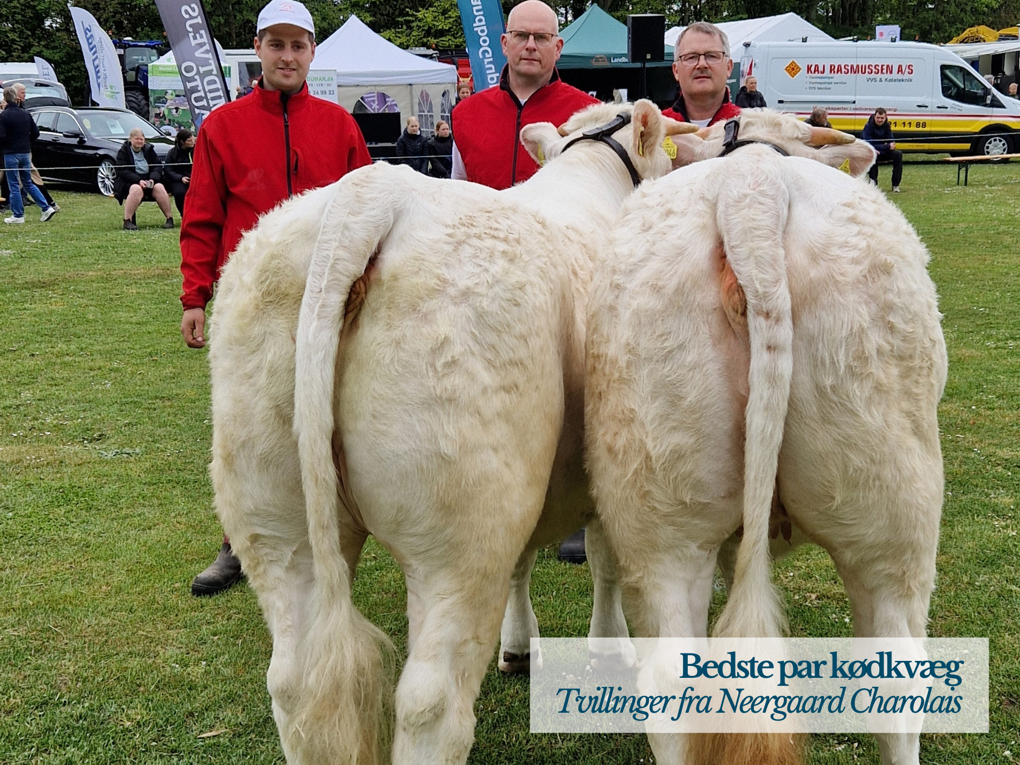 Bedste Par Kødkvæg