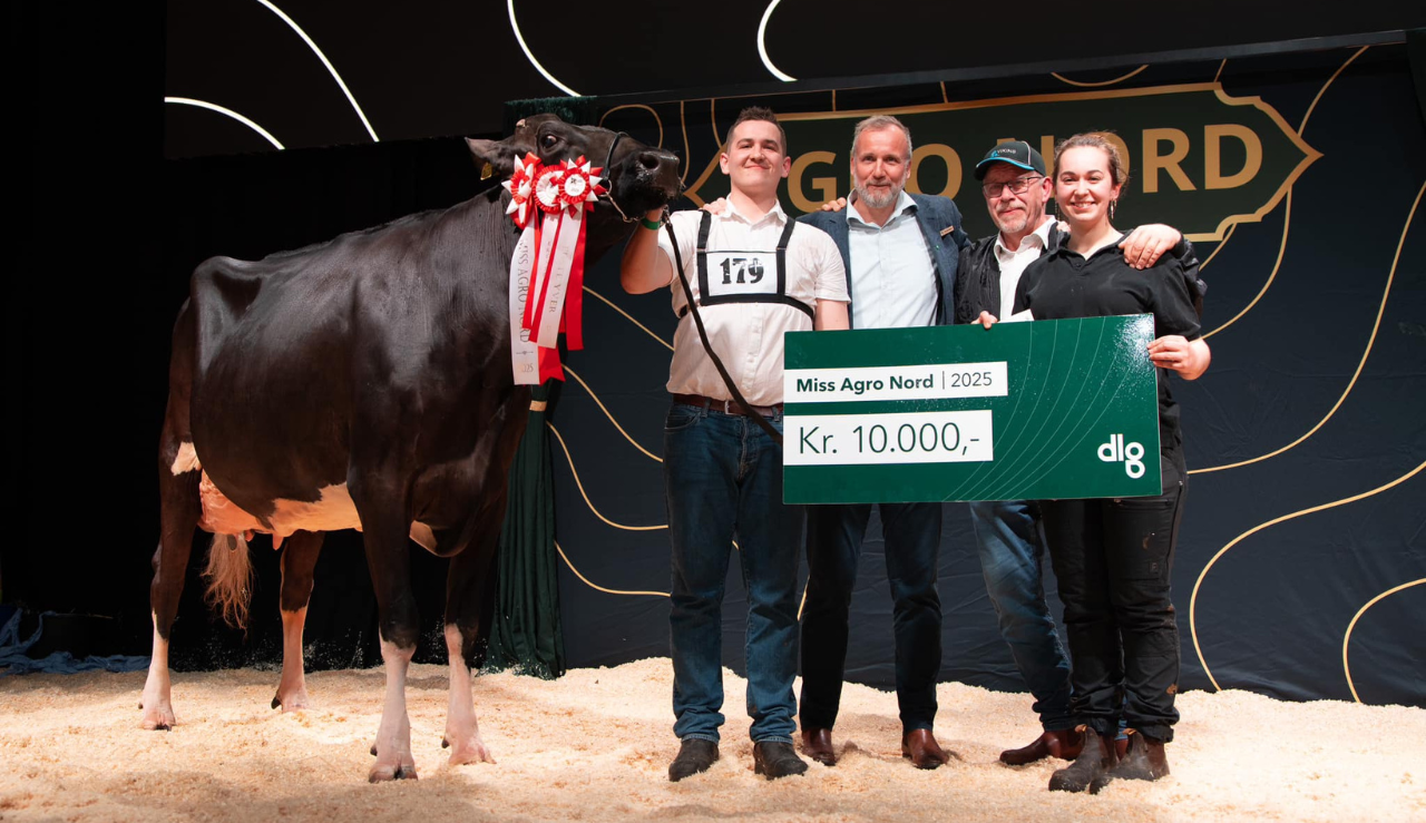 Marcus, Louise Og Per Warming Med Miss Agronord 2025 VH Belland Koen