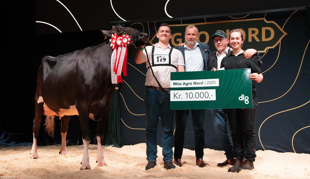 Marcus, Louise Og Per Warming Med Miss Agronord 2025 VH Belland Koen