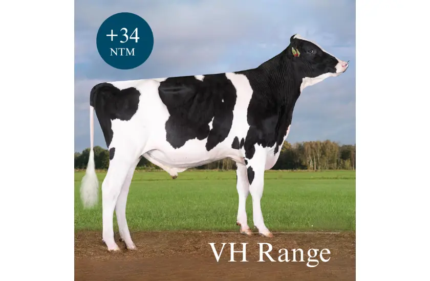 VH Range