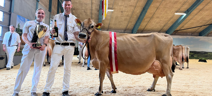 Untitled Design (49)