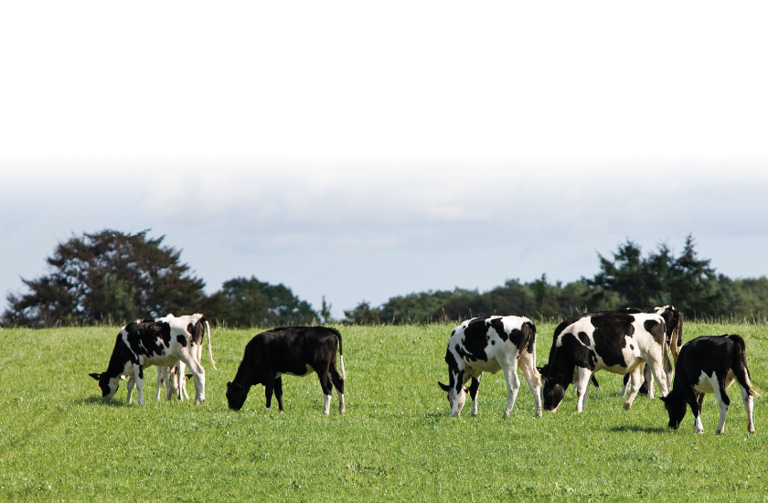 Hero Eg1209004 Genomisk Test