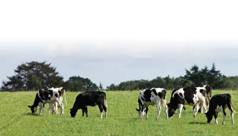 Hero Eg1209004 Genomisk Test