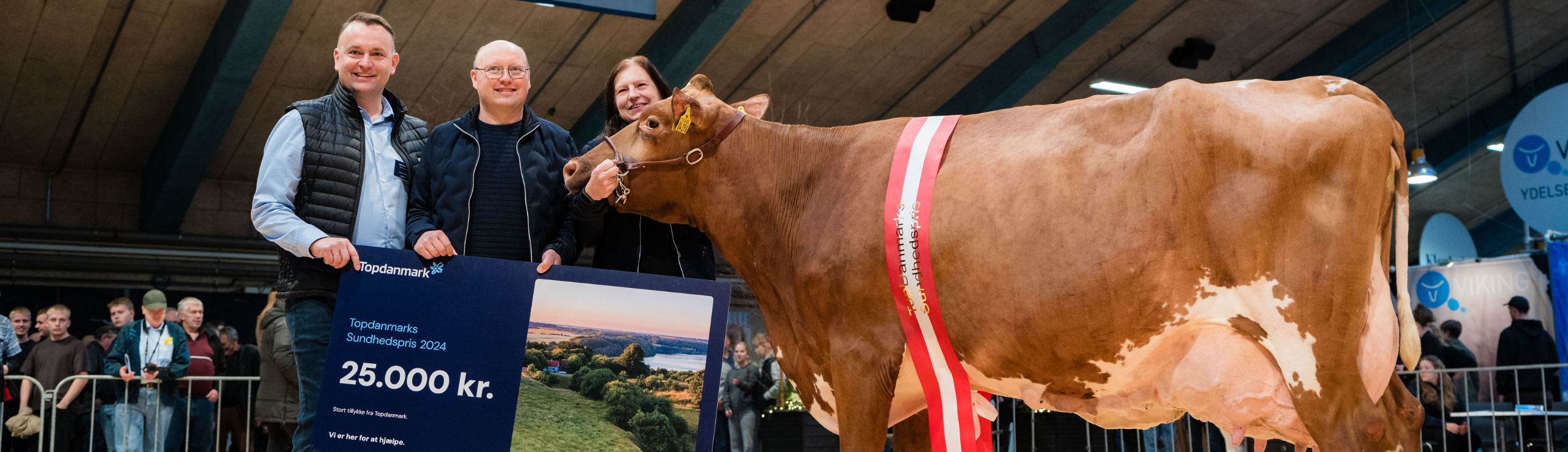 Vinderkoen Af Topdanmarkd Sundhedspris Var Fra Lene Og Palle Bæk Jensen
