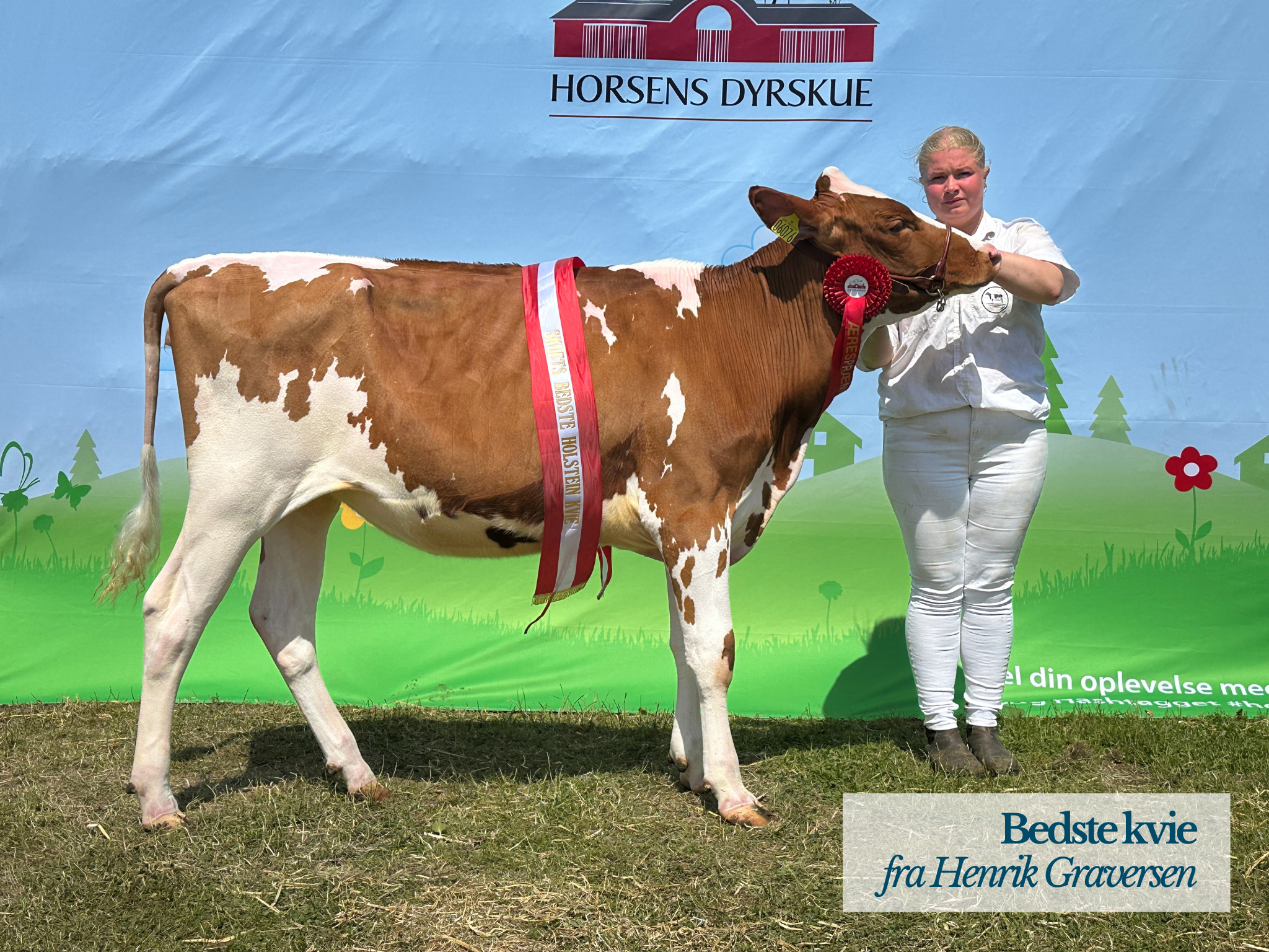 Bedste Kvie, Henrik Graversen