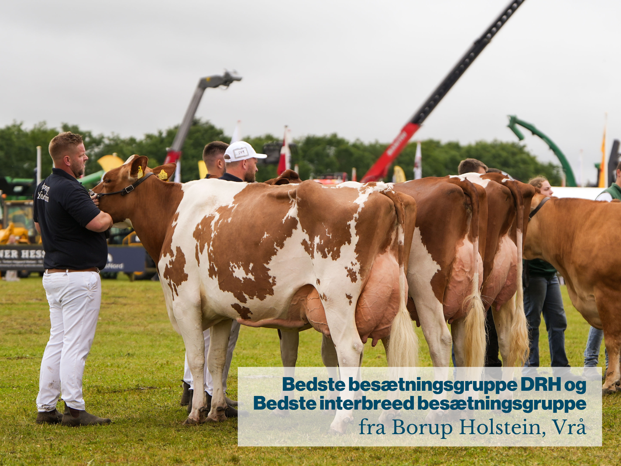 Bedste Besætningsgruppe DRH