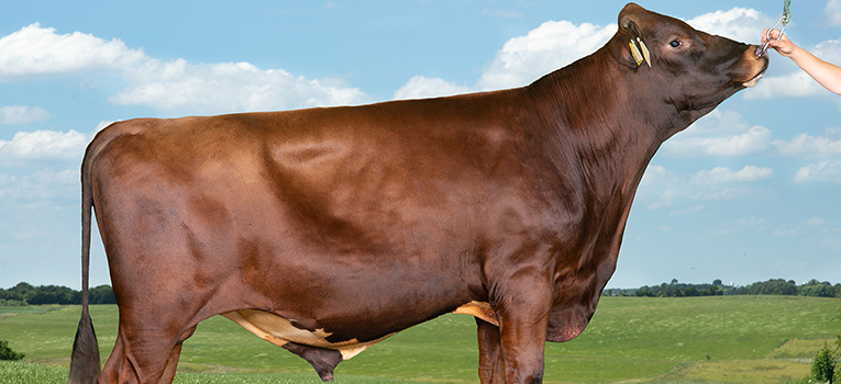 VR Fuzzy P (VR Fanof P) Young Forside