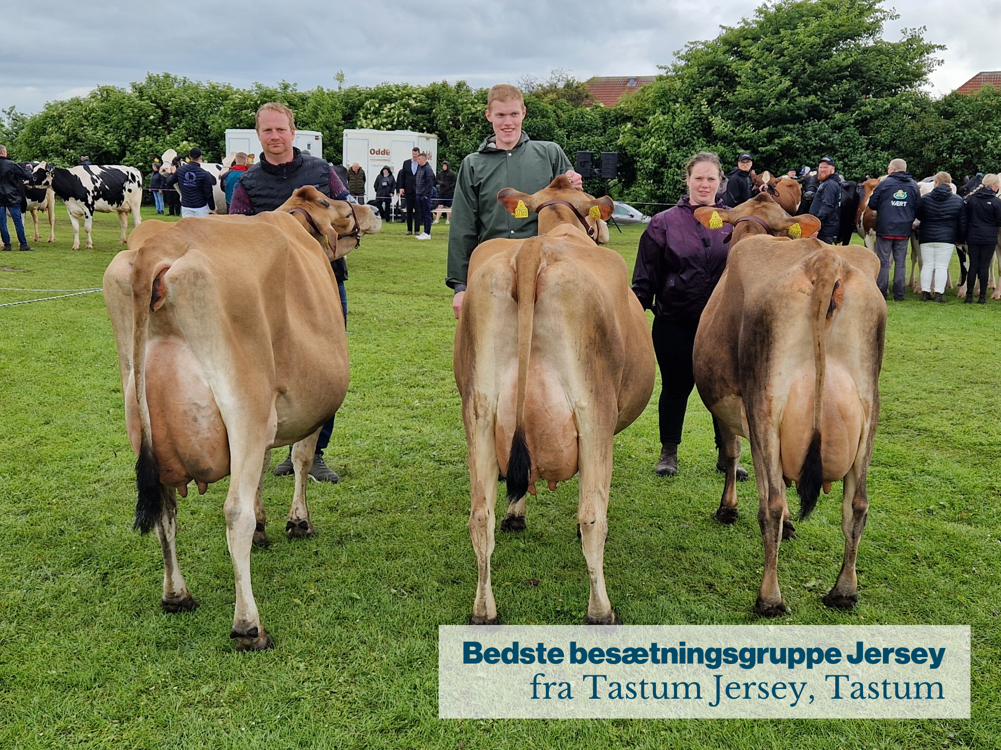 Bedste Besætningsgruppe Jersey