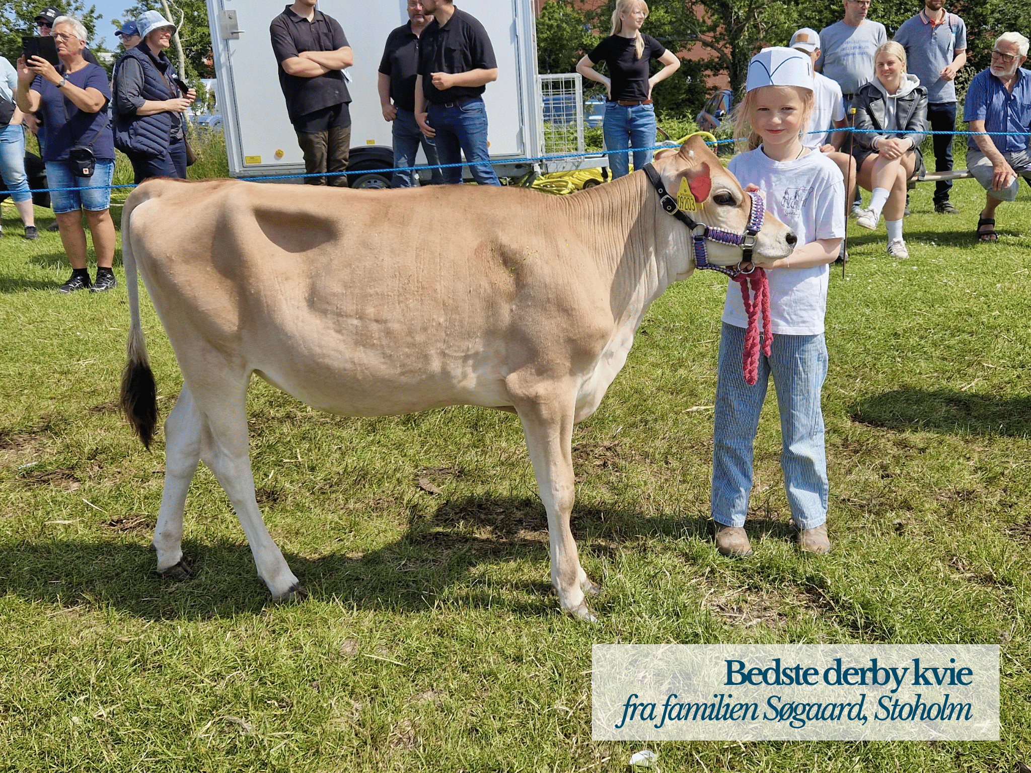 Bedste Derby Kvie, Thy Mors Dyrskue 2025