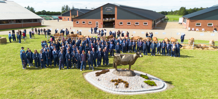 Jersey Verdenskongres 2024 Fællesbillede Hos Adelgaard Jersey