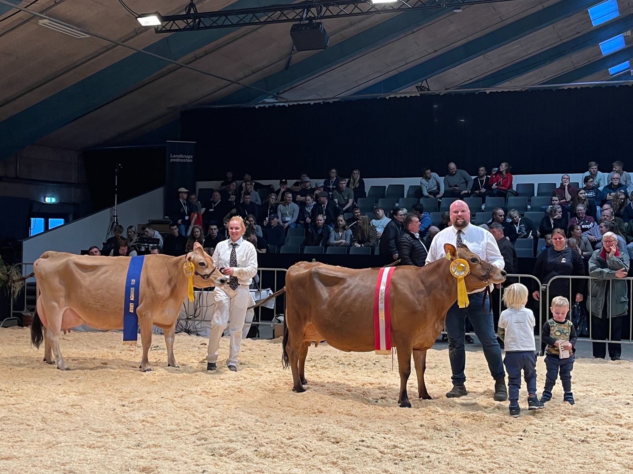 Untitled Design (99)