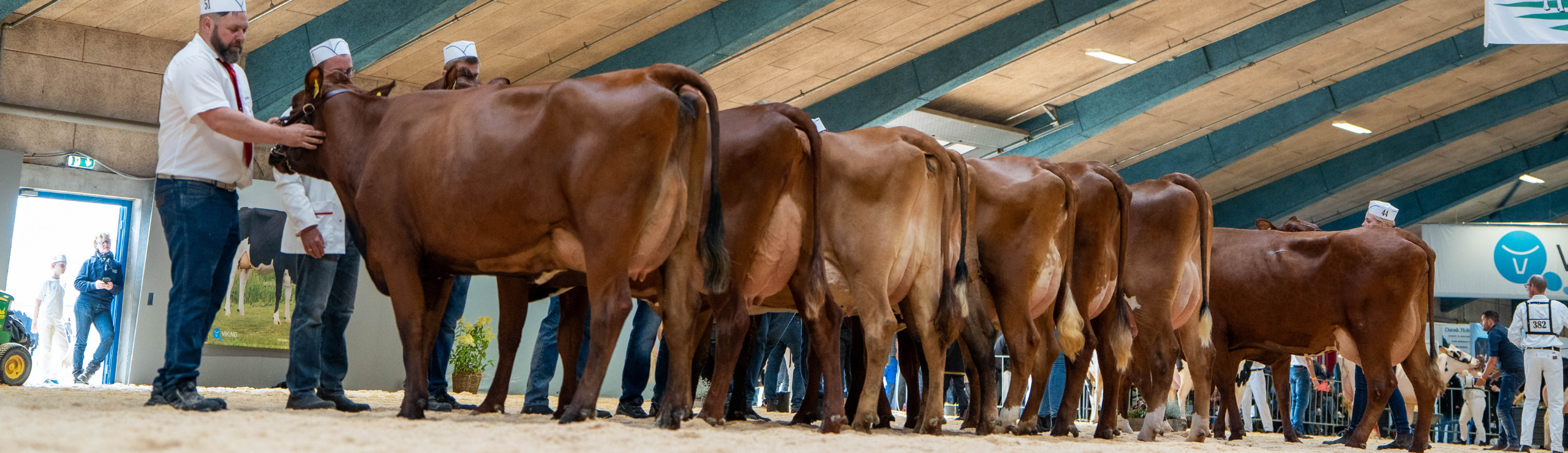 Bedste Besætningsgruppe RDM Landsskuet 2024