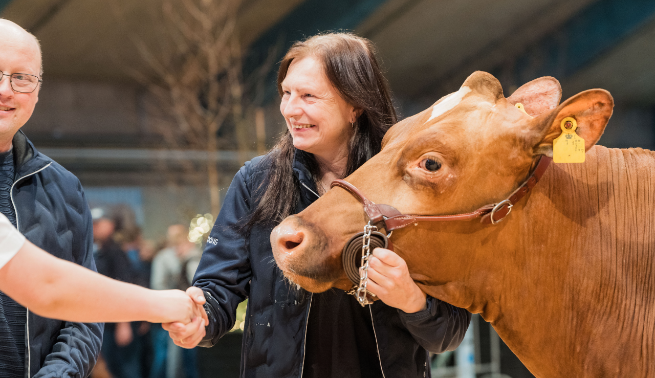 Lene Jensen Er Til Daglig Også Inseminør I Vikingdanmark