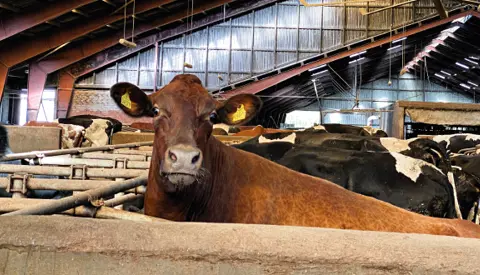 Article Entry Spot Vrvenus