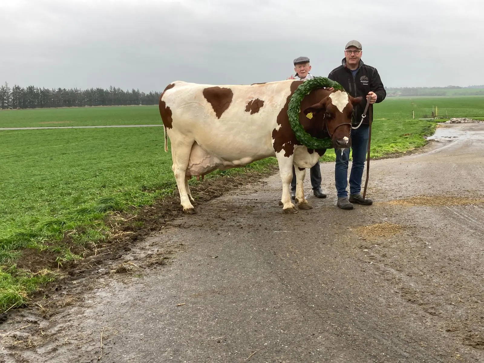 A5bdc01c 213F 42E9 9B71 928561C9299b