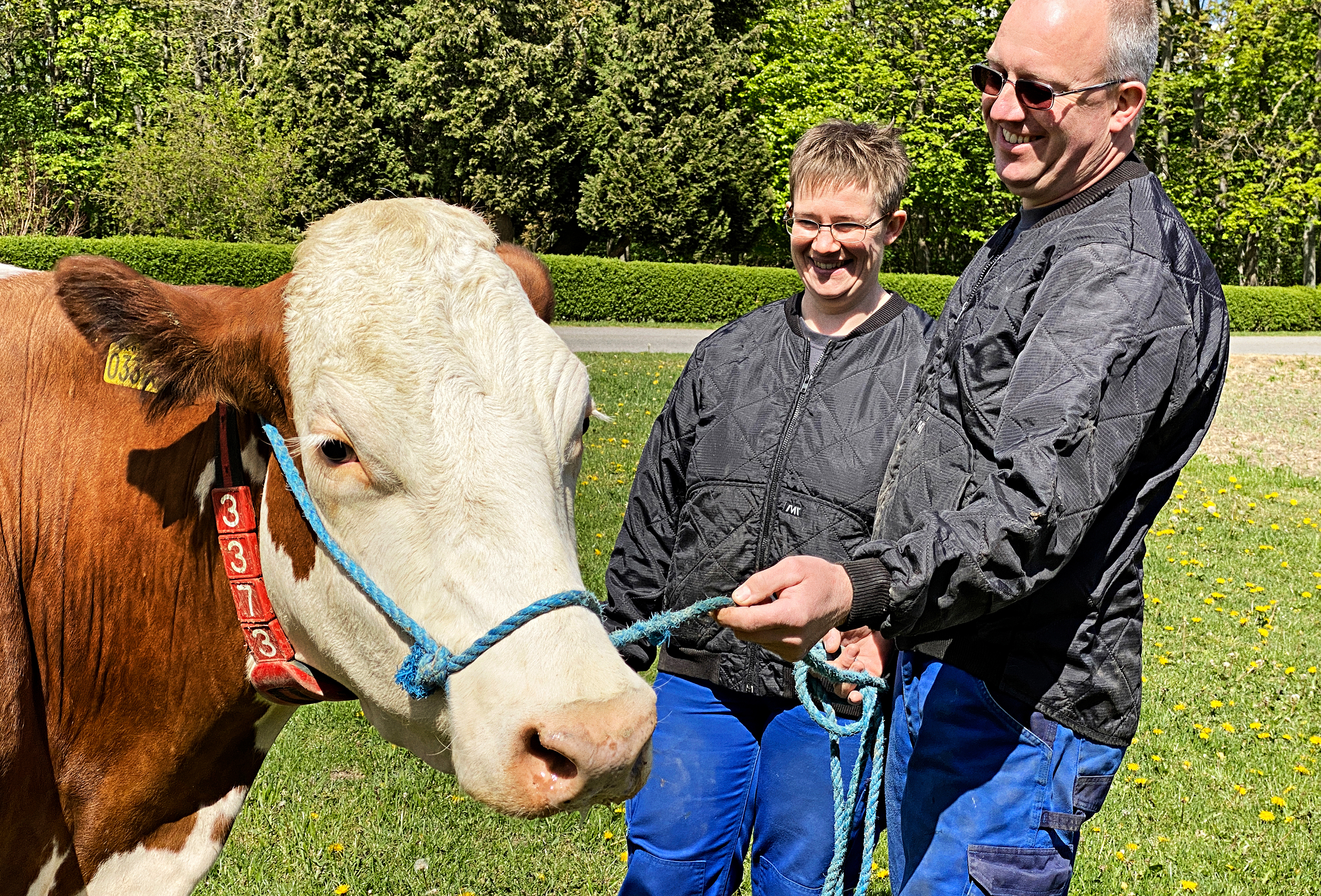 IMG 4432 Vn Srgb Web