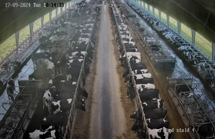 Smartfarming Entry