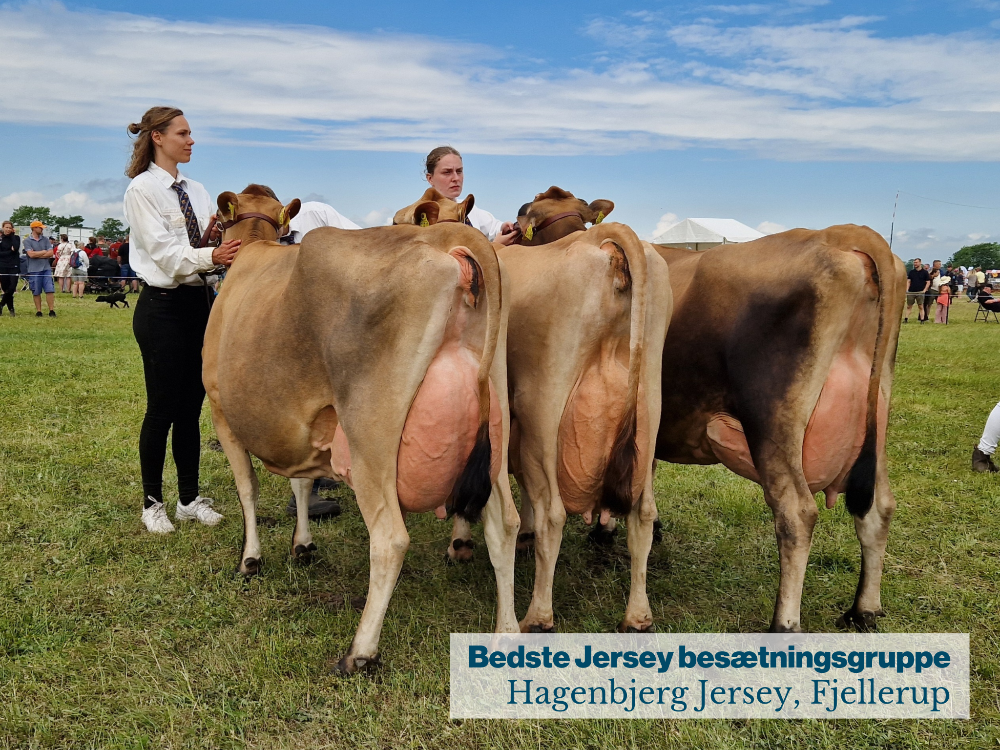 Bedste Jersey Besætningsgruppe (1)