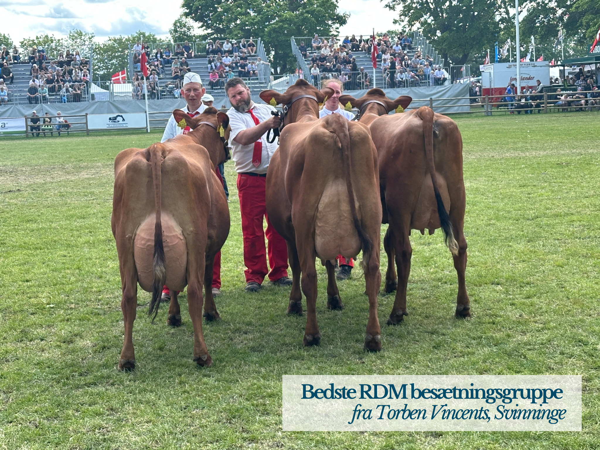 Bedste RDM Besætningsgruppe
