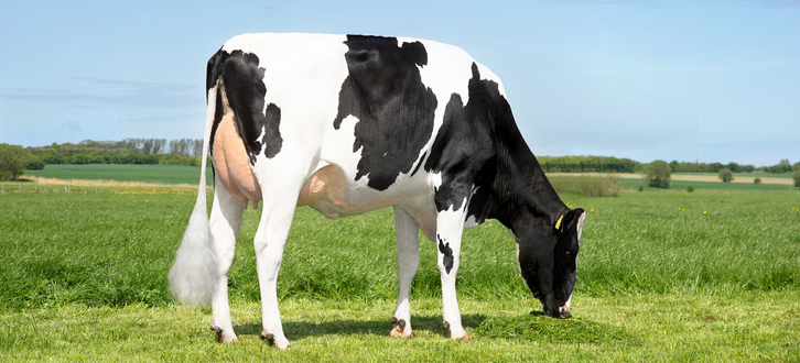 Untitled Design 2023 01 26T143847.720