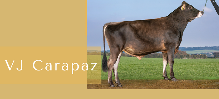 ARTICLE ENTRY TYR (11)