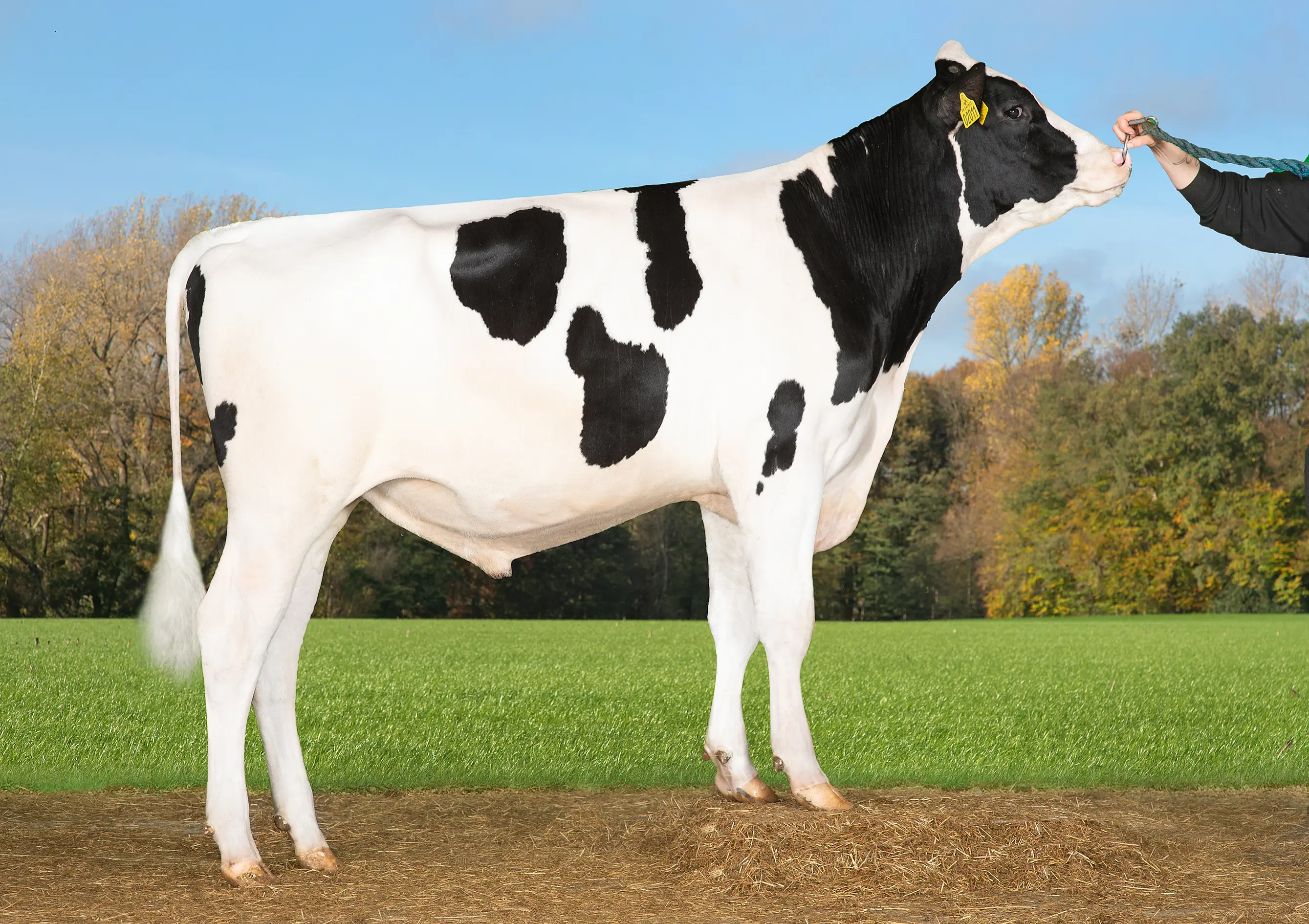 VH Sims PRC (Sale P RDC)