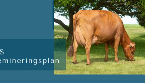 ARTICLE ENTRY TYR (3)