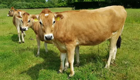 Untitled Design (54)