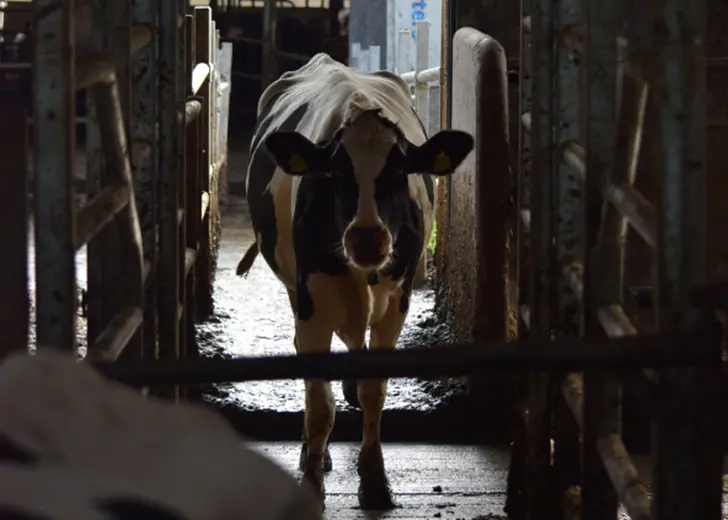 Untitled Design 2022 12 14T133058 187