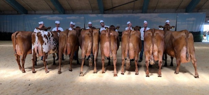 Untitled Design (47)