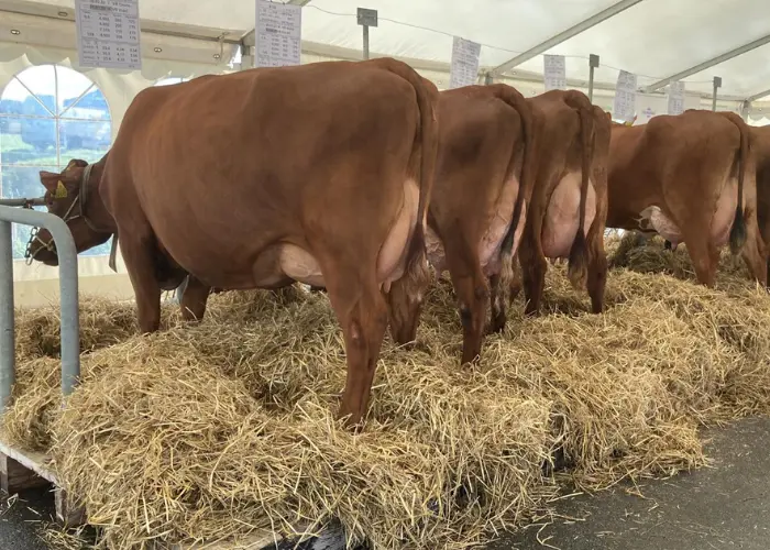 Billede Til Nyhed 700X500