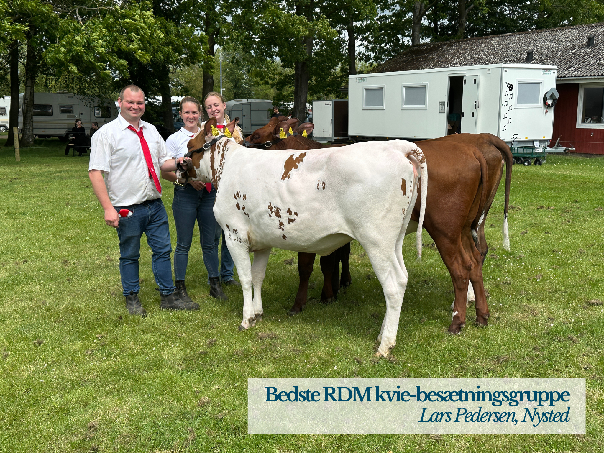 Bedste RDM Kvie Besætningsgruppe