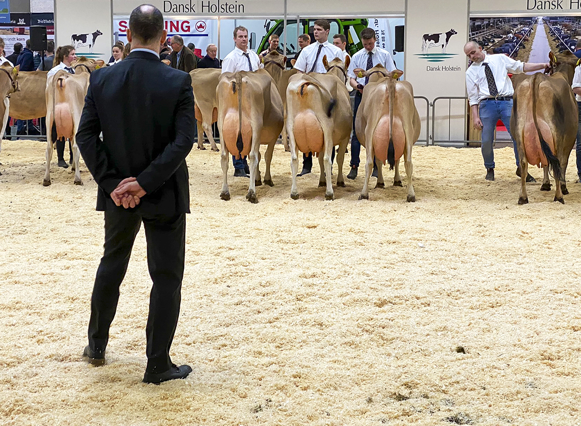 Dommer Peter Larson1