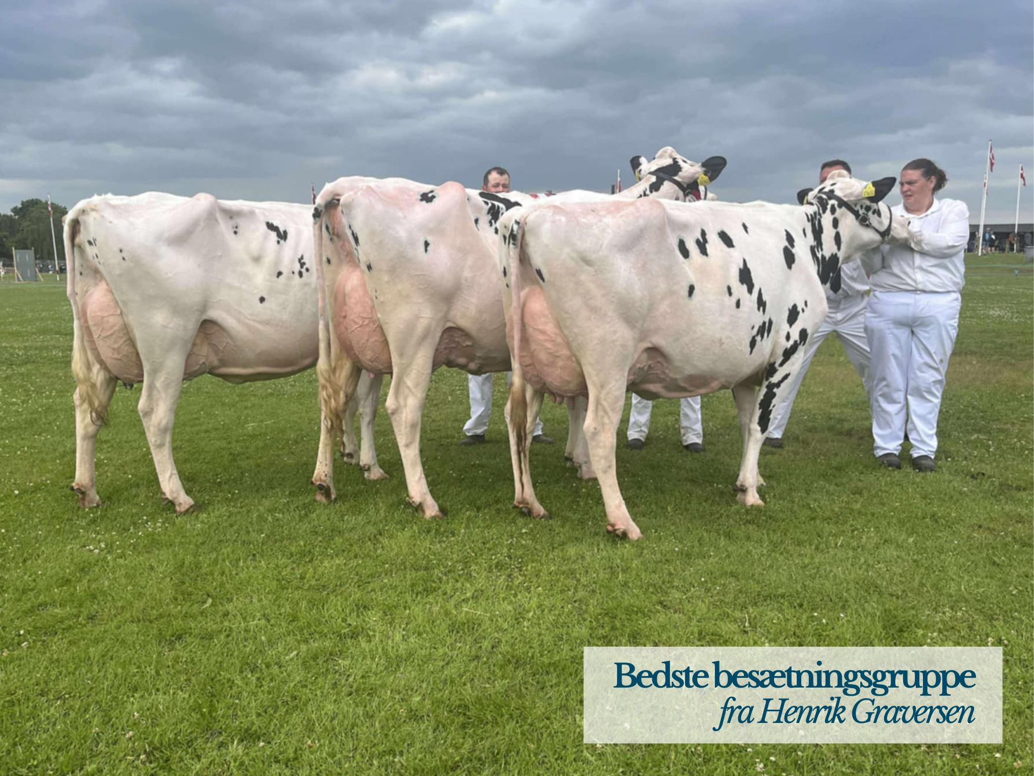 Bedste Gruppe, Henrik Graversen