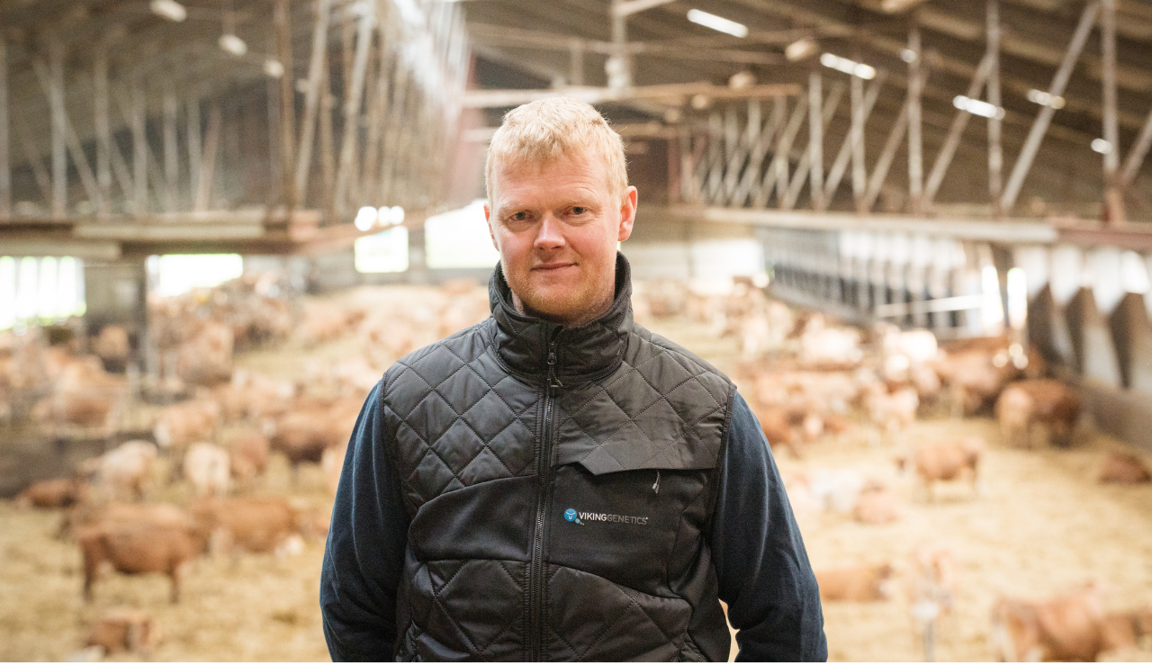 Niels Ulrik Andersen I Stalsen Ved Jerseybesætningen