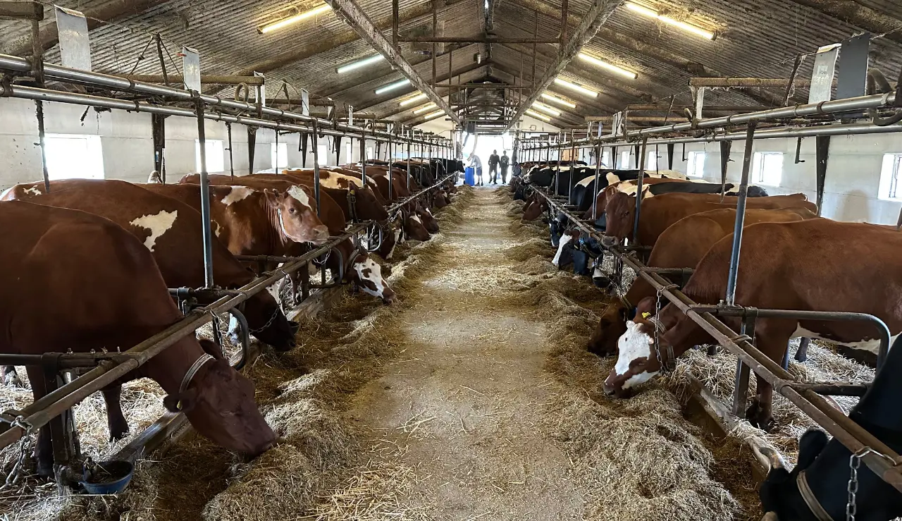 Half Hero Spot, Quarter Size Image (1280 X 284) (21)