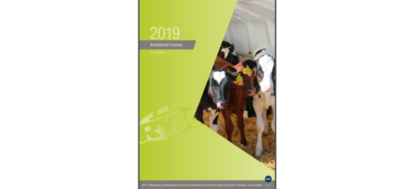 Article Entry Spot Reference Image 726 X 330 6