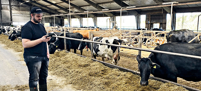 IMG 2856 Web Oversigt