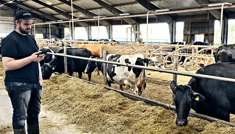 IMG 2856 Web Oversigt