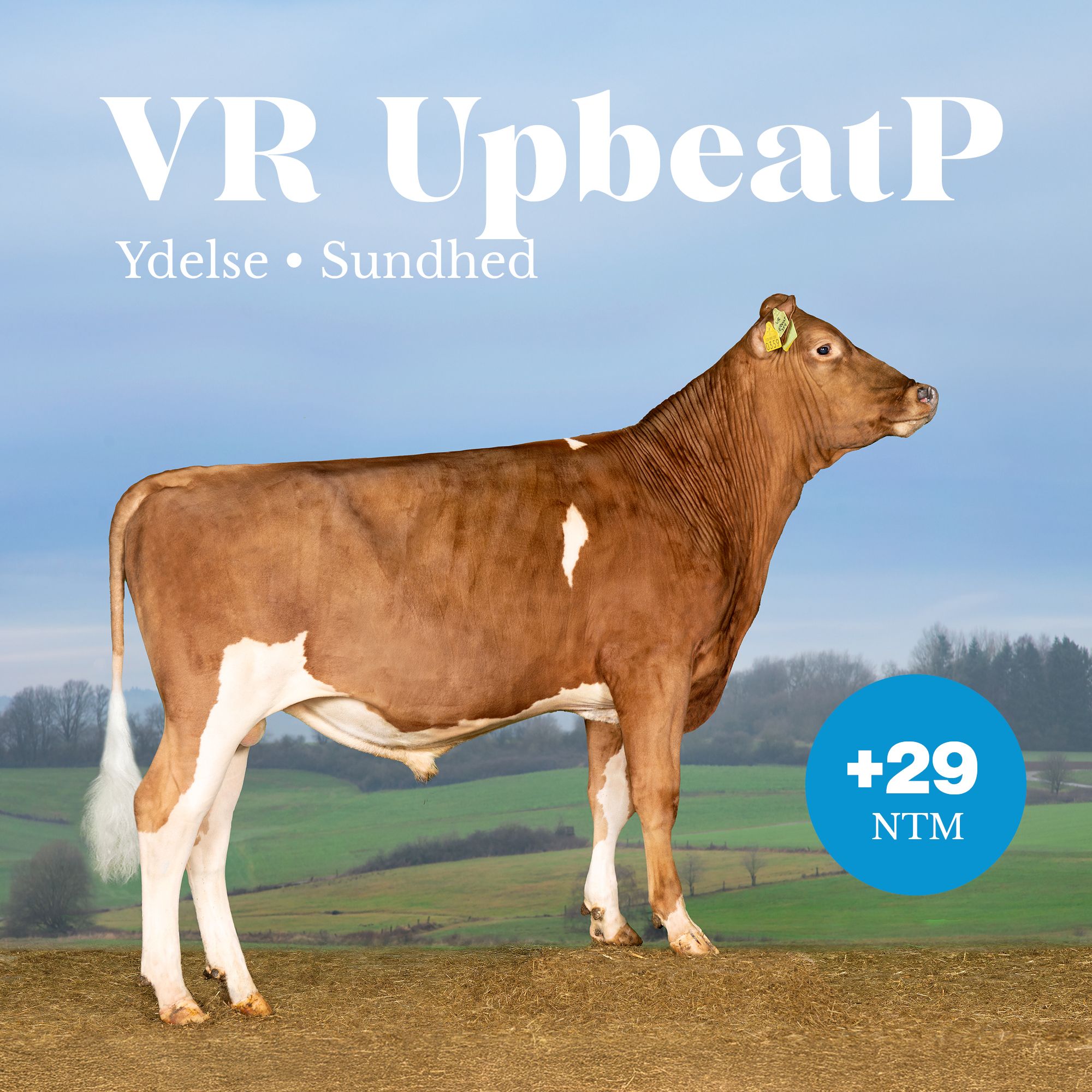 VR UpbeatP +29 NTM