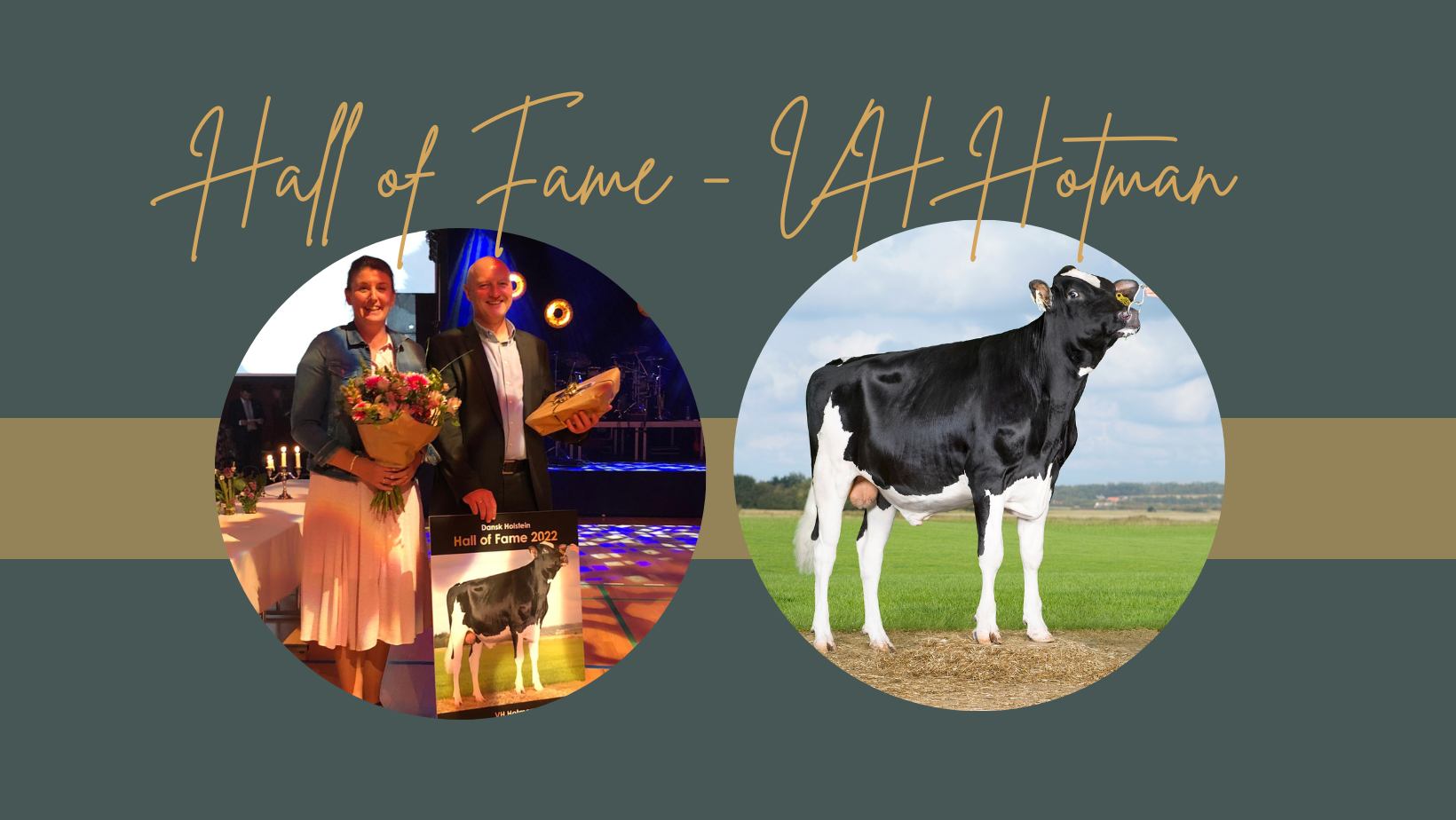 Black Gold Happy Birthday (Facebook Cover) (1)