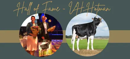 Black Gold Happy Birthday (Facebook Cover) (1)