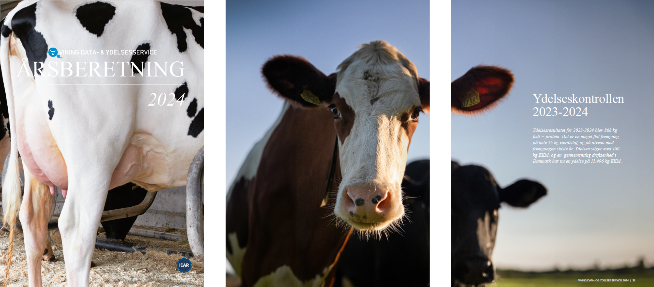 Forsiden Og Ydelsesresultatet 2023 2024